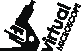 VRM logo navbar